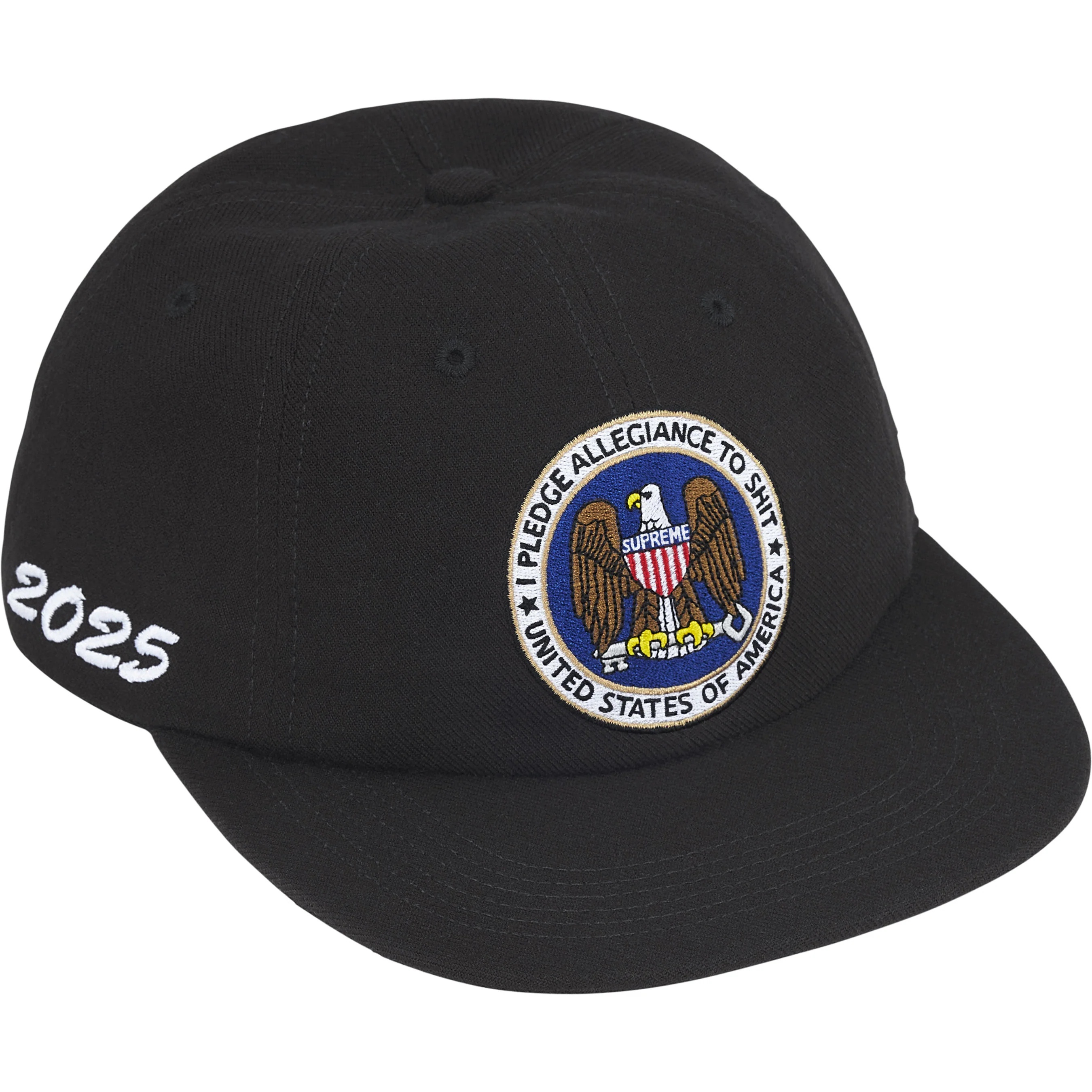 Pledge Allegiance 6-Panel view 15
